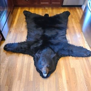 REAL Authentic Black Bear Skin Rug